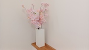 踊り場の花