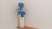 階段踊り場の花